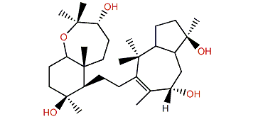 Sipholenol H